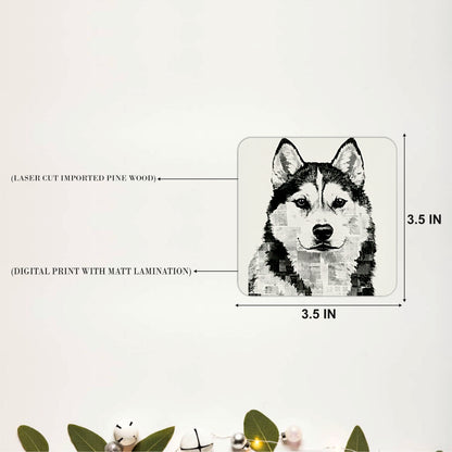 Siberian Husky Coasters Pack of 6
