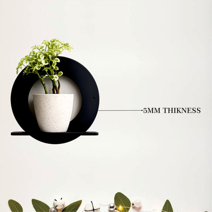 Wall Mounted Planter