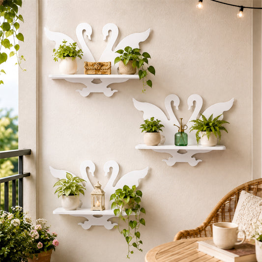 Swan Display Shelf