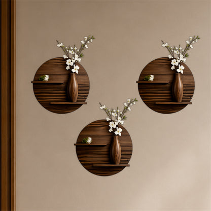 Circular Display Shelf