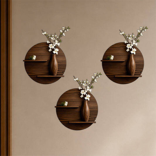 Circular Display Shelf