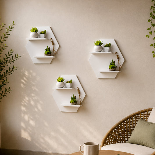 Hexora Wall Planter