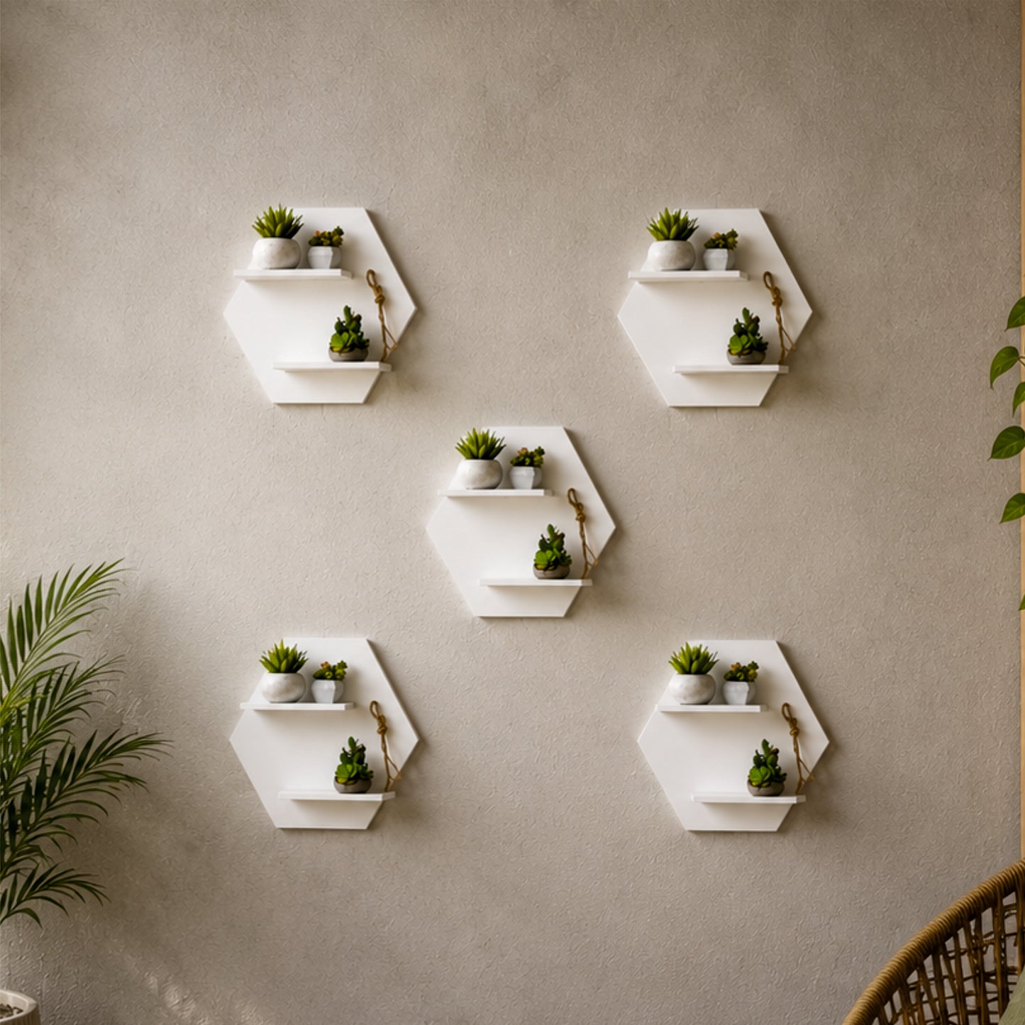 Hexora Wall Planter