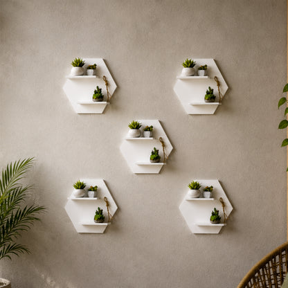 Hexora Wall Planter