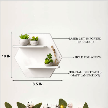Hexora Wall Planter