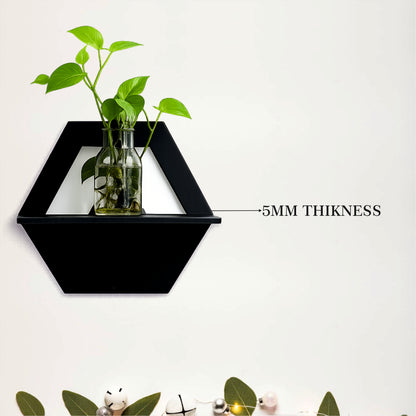 Hive Frame Wall Planter