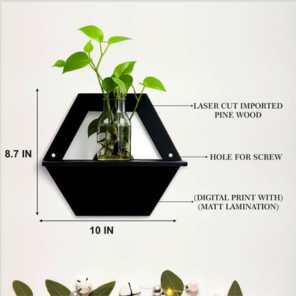 Hive Frame Wall Planter