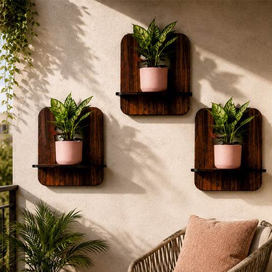 Curve Nest Wall Planter