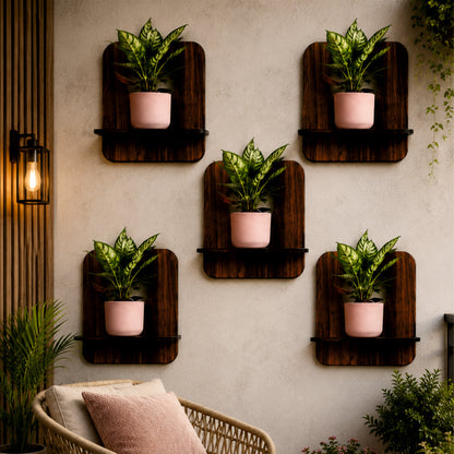 Curve Nest Wall Planter